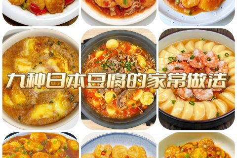 轻松做出日本豆腐料理，丰富口感让你爱不释手！