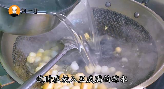 瑶柱的做法：珍贵食材，瑶柱烹饪技巧大揭秘