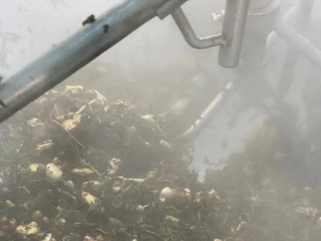 恭城油茶的做法：了解制作恭城油茶的秘诀和步骤！