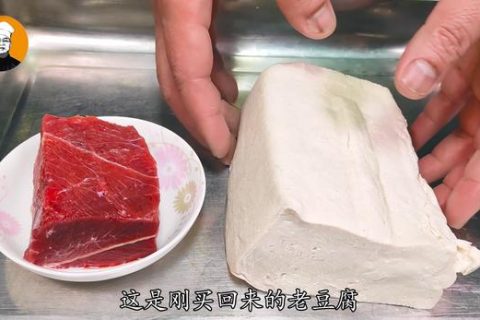 麻辣豆腐的做法视频：制作麻辣豆腐的详细步骤分享，还有视频教程供参考