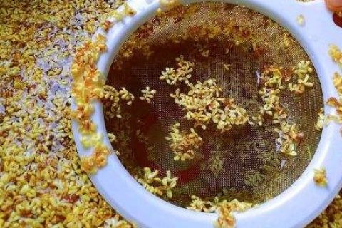 【桂花蜜的制作方法】自家制作桂花蜜，享受独特的甜蜜滋味