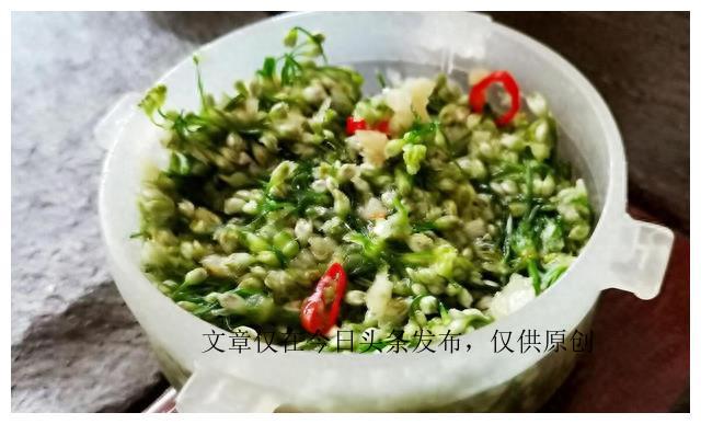 【韭菜花的腌制方法】怎么处理韭菜花才能保持新鲜？一起来学习腌制方法！