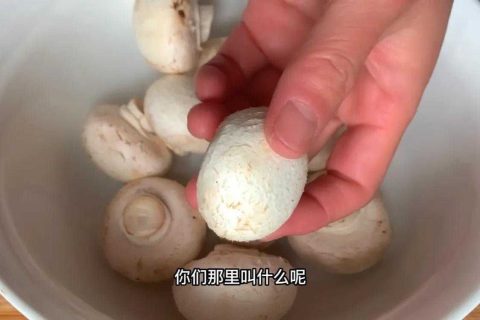 炒蘑菇